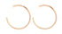 Bridgette Hoops