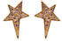 Lucky Star Studs