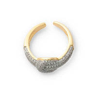 Spiro Ring