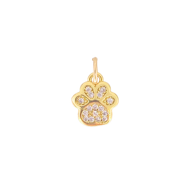 Charmed Paw