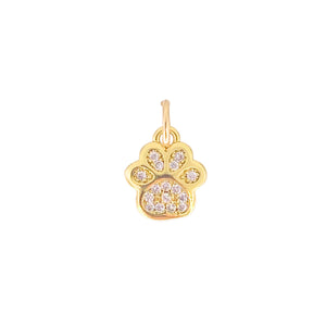 Charmed Paw