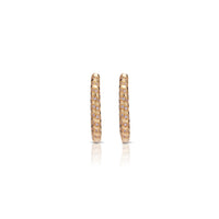 Swirl Hoops