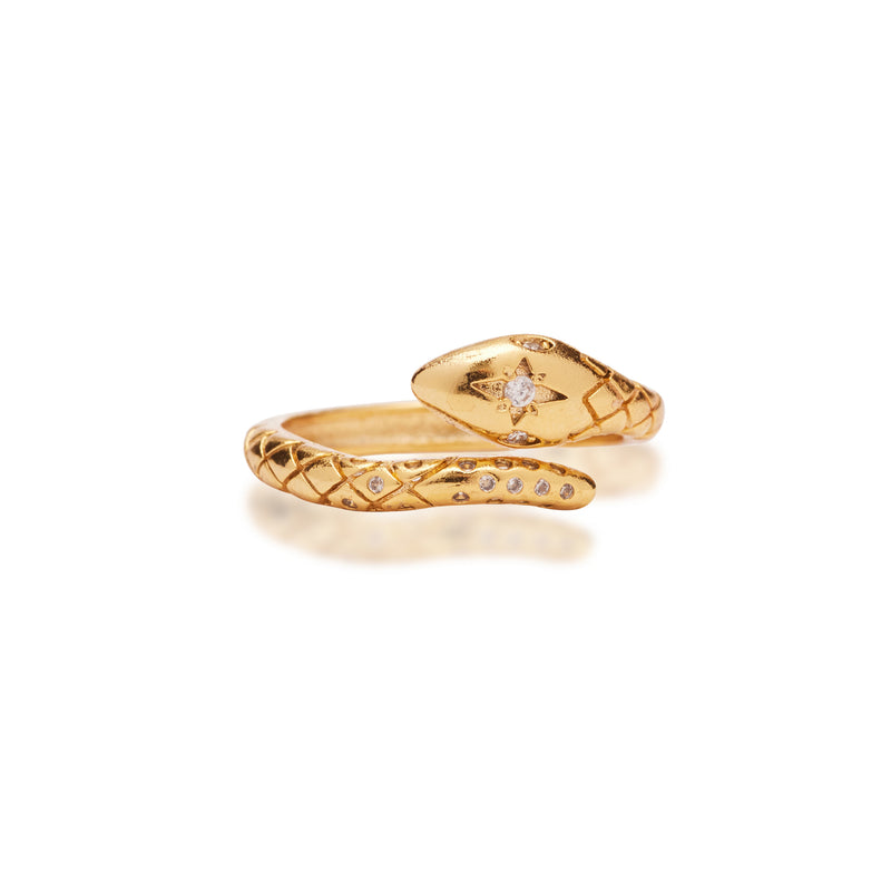 The Scale Adjustable Ring